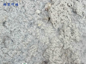 石棉棉漿纖維擠干固液分離